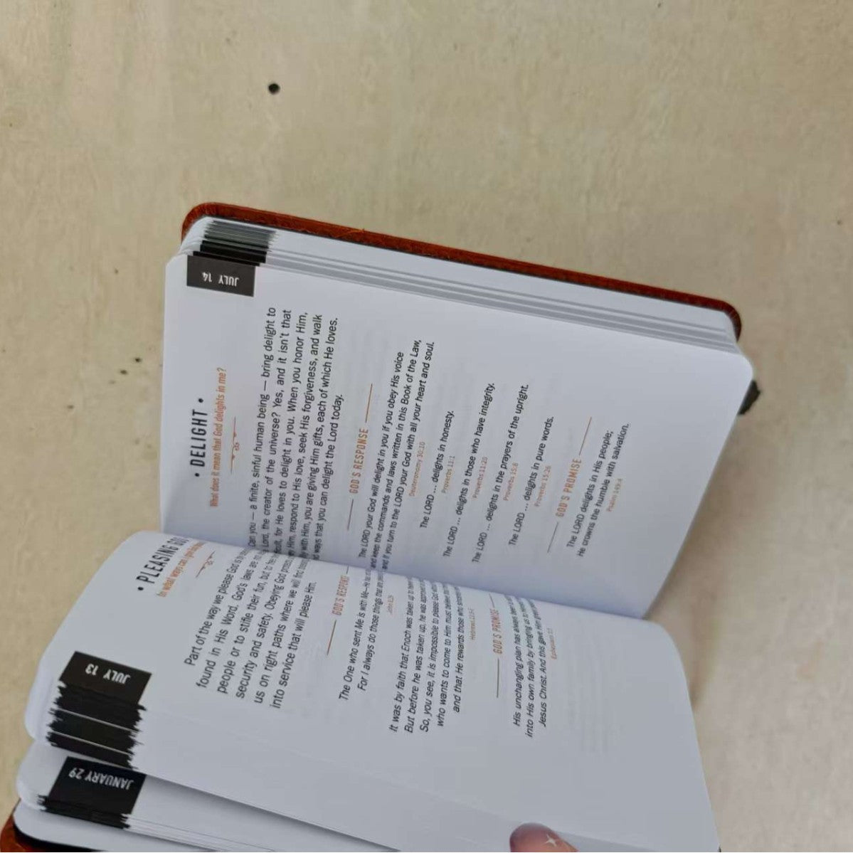 365 Days Daily Prayer Brown Book