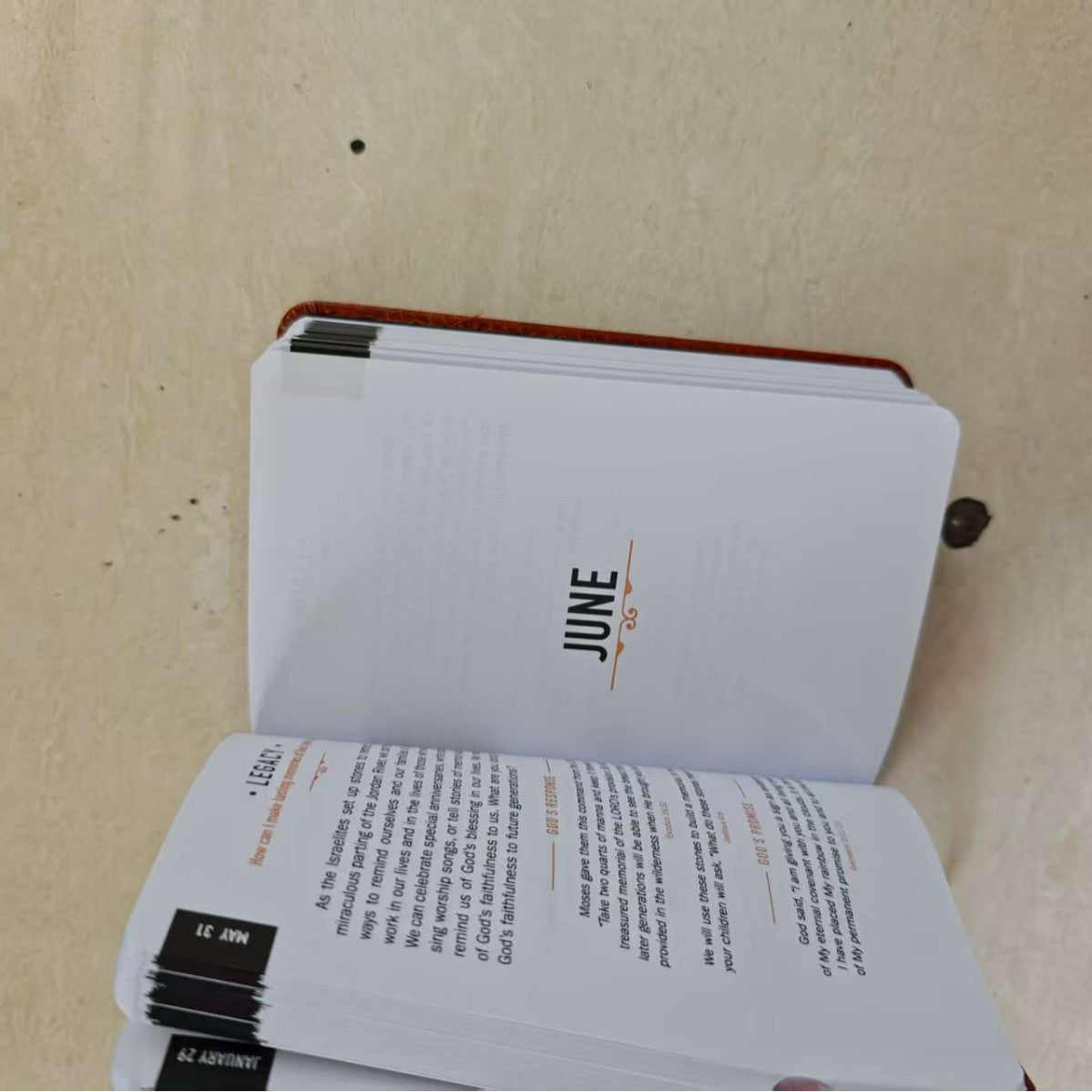 365 Days Daily Prayer Brown Book