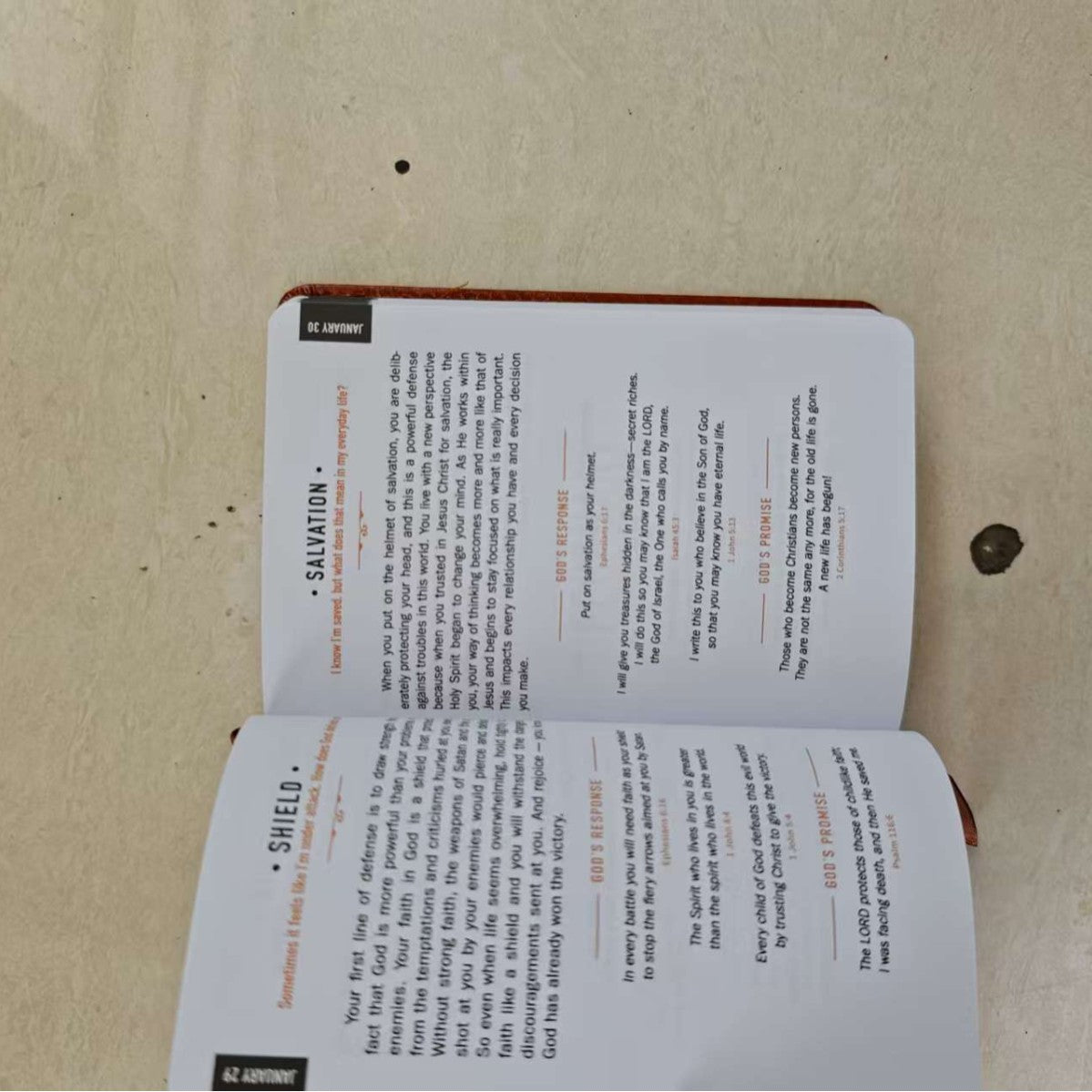 365 Days Daily Prayer Brown Book