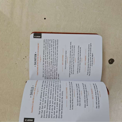 365 Days Daily Prayer Brown Book